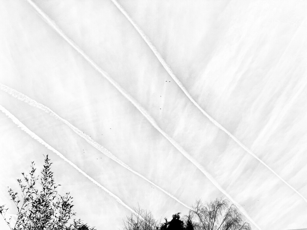 Parallel Contrails